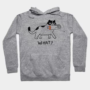 Cat evil Hoodie